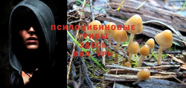 спайс Покачи