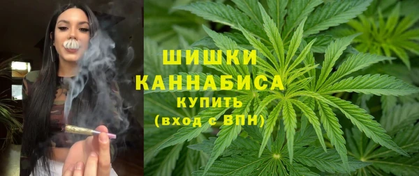стаф Белоозёрский