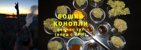 стаф Белоозёрский