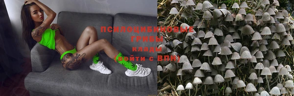 синтетический гашиш Белокуриха