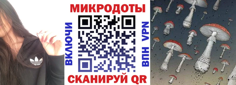blacksprut ссылки даркнет сайт Боготол площадка клад Псилоцибиновые грибы прущие грибы